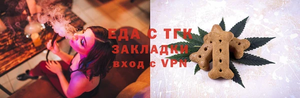 мдпв Богородск