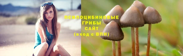 ALPHA-PVP Бородино