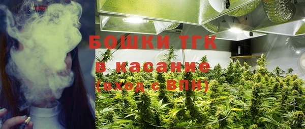 мдпв Богородск
