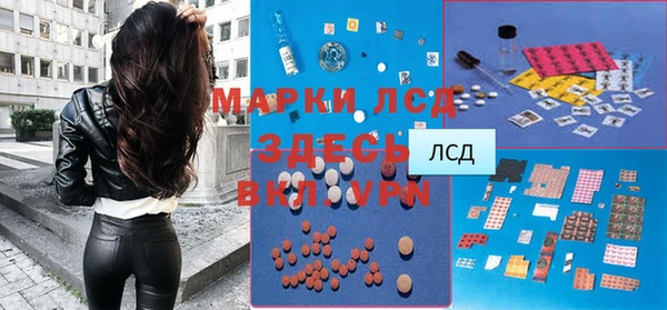 мдпв Богородск