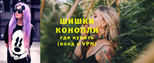мдпв Богородск