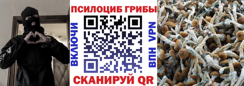 Псилоцибиновые грибы мицелий  мориарти Telegram  Верхняя Тура  где купить  